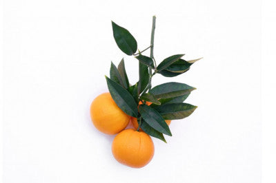 La Vitamina C para estar radiante